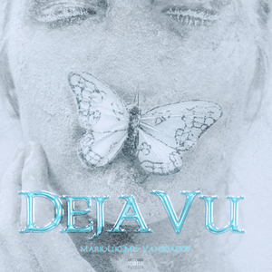 清朝古代一级毛片
